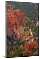 Utah, Bryce Canyon National Park, Queens Garden Trail Through Hoodoos-David Wall-Mounted Photographic Print