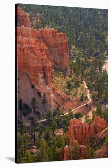Utah, Bryce Canyon National Park, Queens Garden Trail Through Hoodoos-David Wall-Stretched Canvas