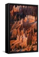 Utah, Bryce Canyon National Park. Sunrise Point Hoodoos in Bryce Canyon National Park-Judith Zimmerman-Framed Stretched Canvas