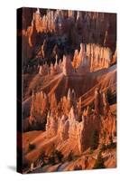 Utah, Bryce Canyon National Park. Sunrise Point Hoodoos in Bryce Canyon National Park-Judith Zimmerman-Stretched Canvas