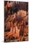 Utah, Bryce Canyon National Park. Sunrise Point Hoodoos in Bryce Canyon National Park-Judith Zimmerman-Mounted Photographic Print