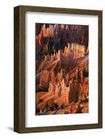 Utah, Bryce Canyon National Park. Sunrise Point Hoodoos in Bryce Canyon National Park-Judith Zimmerman-Framed Photographic Print