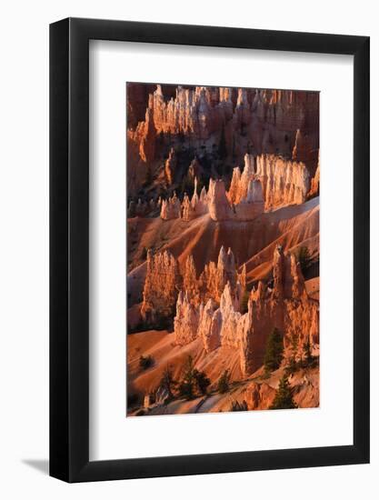 Utah, Bryce Canyon National Park. Sunrise Point Hoodoos in Bryce Canyon National Park-Judith Zimmerman-Framed Photographic Print