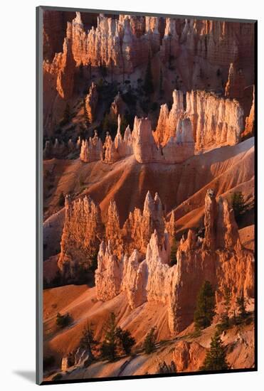 Utah, Bryce Canyon National Park. Sunrise Point Hoodoos in Bryce Canyon National Park-Judith Zimmerman-Mounted Photographic Print