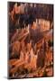 Utah, Bryce Canyon National Park. Sunrise Point Hoodoos in Bryce Canyon National Park-Judith Zimmerman-Mounted Photographic Print