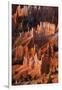 Utah, Bryce Canyon National Park. Sunrise Point Hoodoos in Bryce Canyon National Park-Judith Zimmerman-Framed Premium Photographic Print