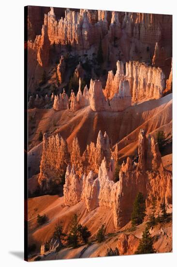 Utah, Bryce Canyon National Park. Sunrise Point Hoodoos in Bryce Canyon National Park-Judith Zimmerman-Stretched Canvas