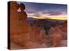 Utah, Bryce Canyon National Park, Thors Hammer Near Sunset Point, USA-Alan Copson-Stretched Canvas