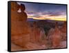 Utah, Bryce Canyon National Park, Thors Hammer Near Sunset Point, USA-Alan Copson-Framed Stretched Canvas