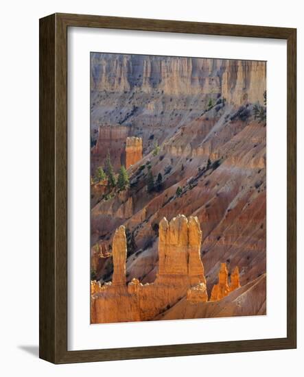 Utah, Bryce Canyon National Park. View of canyon with hoodoos-Jamie & Judy Wild-Framed Photographic Print