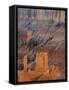 Utah, Bryce Canyon National Park. View of canyon with hoodoos-Jamie & Judy Wild-Framed Stretched Canvas
