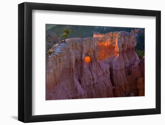 Utah, Bryce Canyon National Park-Judith Zimmerman-Framed Photographic Print