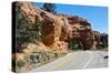 Utah, Bryce, Red Canyon Tunnels-Bernard Friel-Stretched Canvas