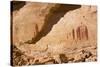 Utah, Canyonlands, Horseshoe Canyon, Great Gallery, Petroglyphs-Jamie & Judy Wild-Stretched Canvas