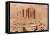 Utah, Canyonlands, Horseshoe Canyon, Great Gallery, Petroglyphs-Jamie & Judy Wild-Framed Stretched Canvas