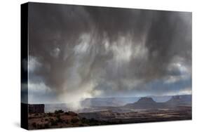 Utah, Canyonlands National Park. Spring Vista over the Canyons and Desert with Thunderclouds-Judith Zimmerman-Stretched Canvas