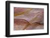 Utah, Capital Reef National Park. Colorful Patterns in Sandstone-Jaynes Gallery-Framed Photographic Print