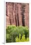 Utah, Capitol Reef National Park. Cottonwood Trees and Cliff Streaked with Desert Varnish-Jaynes Gallery-Framed Photographic Print