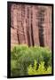 Utah, Capitol Reef National Park. Cottonwood Trees and Cliff Streaked with Desert Varnish-Jaynes Gallery-Framed Photographic Print