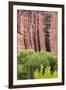 Utah, Capitol Reef National Park. Cottonwood Trees and Cliff Streaked with Desert Varnish-Jaynes Gallery-Framed Photographic Print