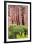 Utah, Capitol Reef National Park. Cottonwood Trees and Cliff Streaked with Desert Varnish-Jaynes Gallery-Framed Photographic Print