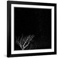 Utah, Capitol Reef National Park. Dead Tree and Night Sky-Jaynes Gallery-Framed Photographic Print