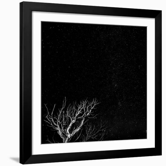 Utah, Capitol Reef National Park. Dead Tree and Night Sky-Jaynes Gallery-Framed Photographic Print