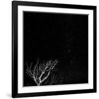 Utah, Capitol Reef National Park. Dead Tree and Night Sky-Jaynes Gallery-Framed Photographic Print