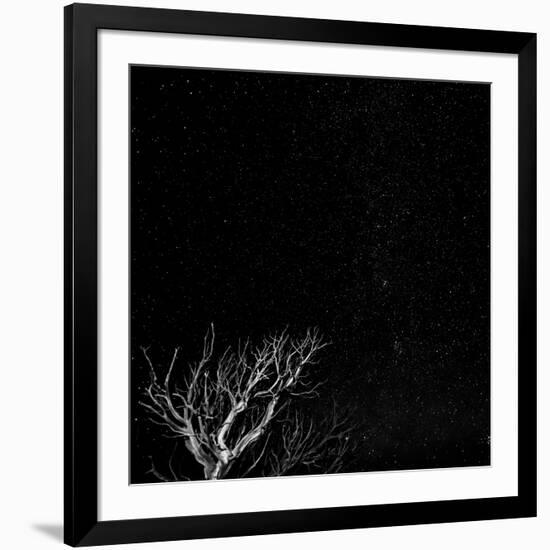 Utah, Capitol Reef National Park. Dead Tree and Night Sky-Jaynes Gallery-Framed Photographic Print