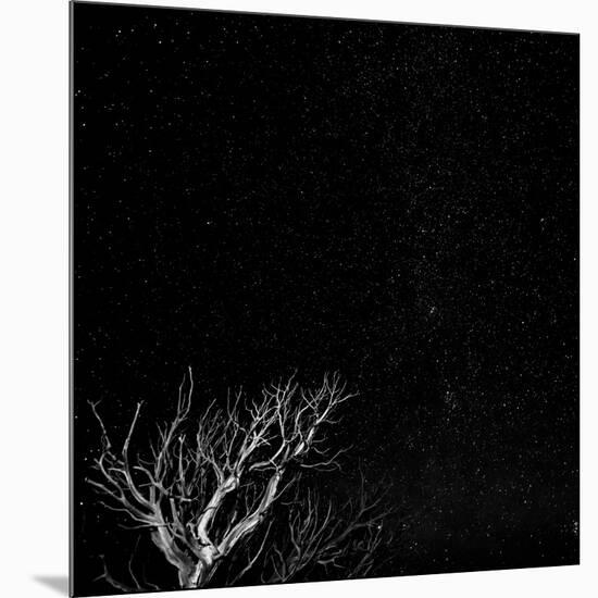 Utah, Capitol Reef National Park. Dead Tree and Night Sky-Jaynes Gallery-Mounted Photographic Print