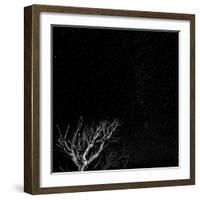 Utah, Capitol Reef National Park. Dead Tree and Night Sky-Jaynes Gallery-Framed Photographic Print