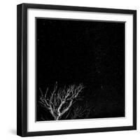 Utah, Capitol Reef National Park. Dead Tree and Night Sky-Jaynes Gallery-Framed Photographic Print