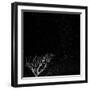 Utah, Capitol Reef National Park. Dead Tree and Night Sky-Jaynes Gallery-Framed Photographic Print