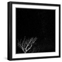 Utah, Capitol Reef National Park. Dead Tree and Night Sky-Jaynes Gallery-Framed Premium Photographic Print
