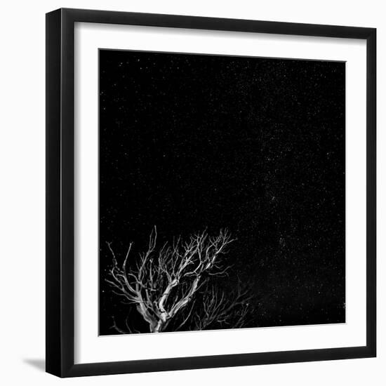 Utah, Capitol Reef National Park. Dead Tree and Night Sky-Jaynes Gallery-Framed Premium Photographic Print