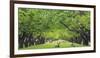 Utah, Capitol Reef National Park. Deer in Sylvan Orchard-Jaynes Gallery-Framed Photographic Print