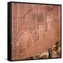 Utah, Capitol Reef National Park. Fremont Pictoglyph Panel-Jaynes Gallery-Framed Stretched Canvas