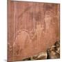 Utah, Capitol Reef National Park. Fremont Pictoglyph Panel-Jaynes Gallery-Mounted Photographic Print