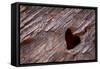 Utah, Capitol Reef National Park. Heart-Shaped Hole in Rock-Jaynes Gallery-Framed Stretched Canvas