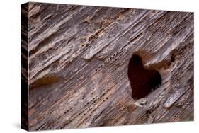 Utah, Capitol Reef National Park. Heart-Shaped Hole in Rock-Jaynes Gallery-Stretched Canvas