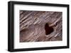 Utah, Capitol Reef National Park. Heart-Shaped Hole in Rock-Jaynes Gallery-Framed Photographic Print