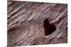 Utah, Capitol Reef National Park. Heart-Shaped Hole in Rock-Jaynes Gallery-Mounted Photographic Print