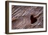 Utah, Capitol Reef National Park. Heart-Shaped Hole in Rock-Jaynes Gallery-Framed Photographic Print