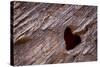 Utah, Capitol Reef National Park. Heart-Shaped Hole in Rock-Jaynes Gallery-Stretched Canvas