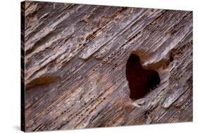 Utah, Capitol Reef National Park. Heart-Shaped Hole in Rock-Jaynes Gallery-Stretched Canvas