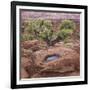 Utah, Capitol Reef National Park. Juniper Tree and Pool in Rock-Jaynes Gallery-Framed Photographic Print