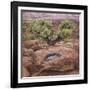 Utah, Capitol Reef National Park. Juniper Tree and Pool in Rock-Jaynes Gallery-Framed Photographic Print