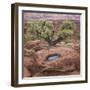 Utah, Capitol Reef National Park. Juniper Tree and Pool in Rock-Jaynes Gallery-Framed Photographic Print