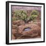 Utah, Capitol Reef National Park. Juniper Tree and Pool in Rock-Jaynes Gallery-Framed Photographic Print