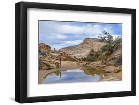 Utah, Capitol Reef National Park. Photographer Surveys Scenic-Jaynes Gallery-Framed Photographic Print